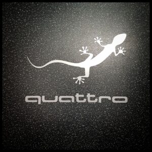 AUDI QUATTRO GECKO