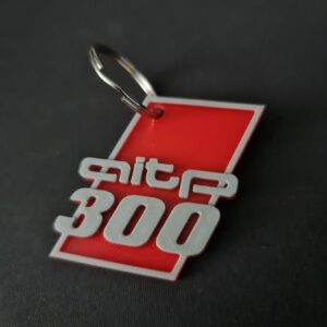 Official AITP300 3D Printed Keyring
