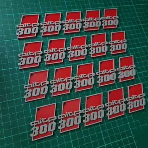 Official AITP300 3D Printed Keyring - Image 2